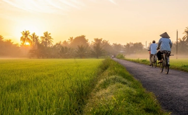 Saigon & Mekong Delta Tour: City & River Experience