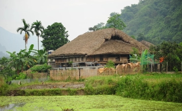 Northeast Vietnam Tour: Ha Giang, Ba Be & Ban Gioc