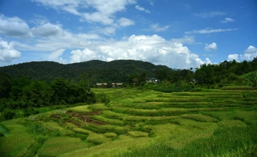 Hanoi - Mai Chau Discovery Tour